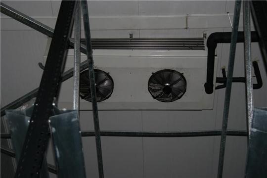 Lot 125 Image
