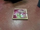 Lot 3 Image