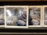 Lot 231 Image