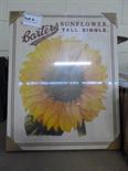 Lot 9 Image