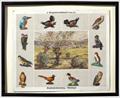 Lot 8246 Image