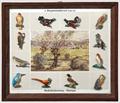 Lot 8247 Image