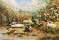 Lot 20 Image