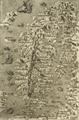Lot 12 Image