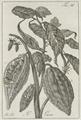 Lot 25 Image
