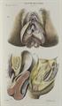 Lot 39 Image