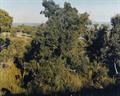 Lot 35 Image