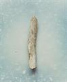Lot 26 Image