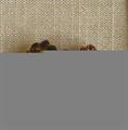 Lot 30 Image