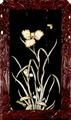 Lot 6019 Image
