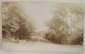Lot 801 Image