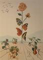 Lot 1000 Image
