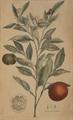 Lot 1015 Image