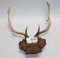 Lot 425 Image