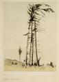 Lot 21 Image