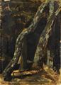 Lot 12 Image