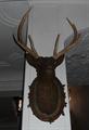 Lot 598 Image