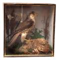 Lot 1238 Image