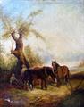 Lot 36 Image