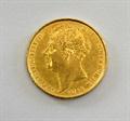 Lot 20 Image