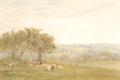 Lot 19 Image