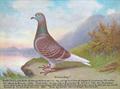 Lot 125 Image