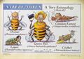Lot 238 Image