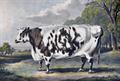 Lot 549 Image