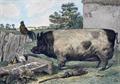 Lot 550 Image
