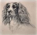 Lot 567 Image