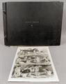 Lot 337 Image