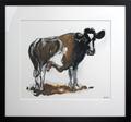 Lot 18 Image