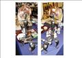 Lot 491 Image