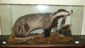 Lot 561 Image