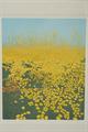 Lot 1325 Image