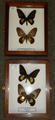 Lot 160 Image