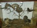 Lot 163 Image