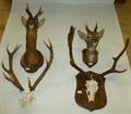 Lot 183 Image