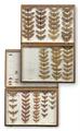 Lot 190 Image
