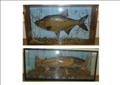 Lot 80 Image