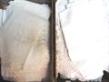 Lot 1035 Image