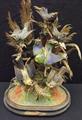 Lot 12 Image
