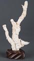 Lot 476 Image