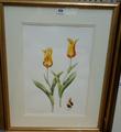Lot 426 Image