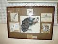 Lot 31 Image