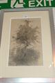 Lot 20 Image