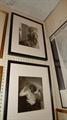Lot 29 Image