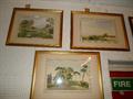 Lot 24 Image