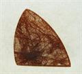 Lot 58 Image