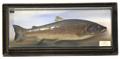 Lot 24 Image